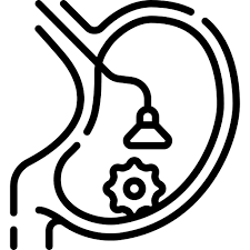 Endoscopy